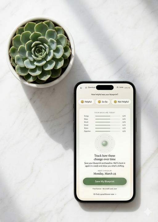 Holistic Health wellness baseline scores on phone